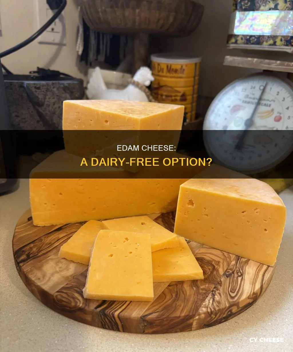 is edam cheese dairy free