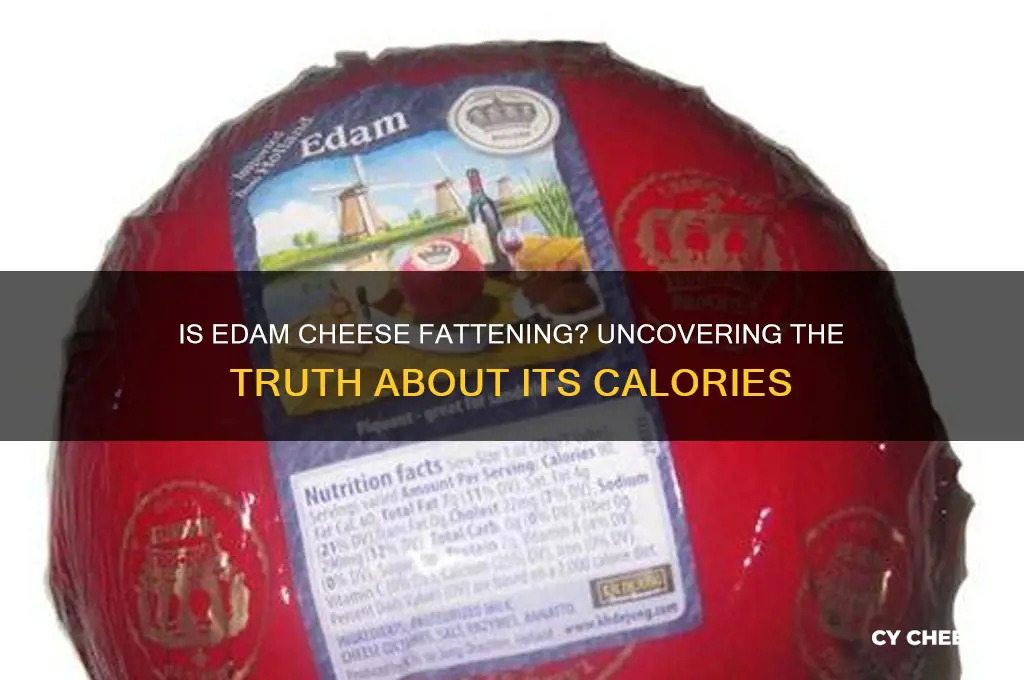 is edam cheese fattening