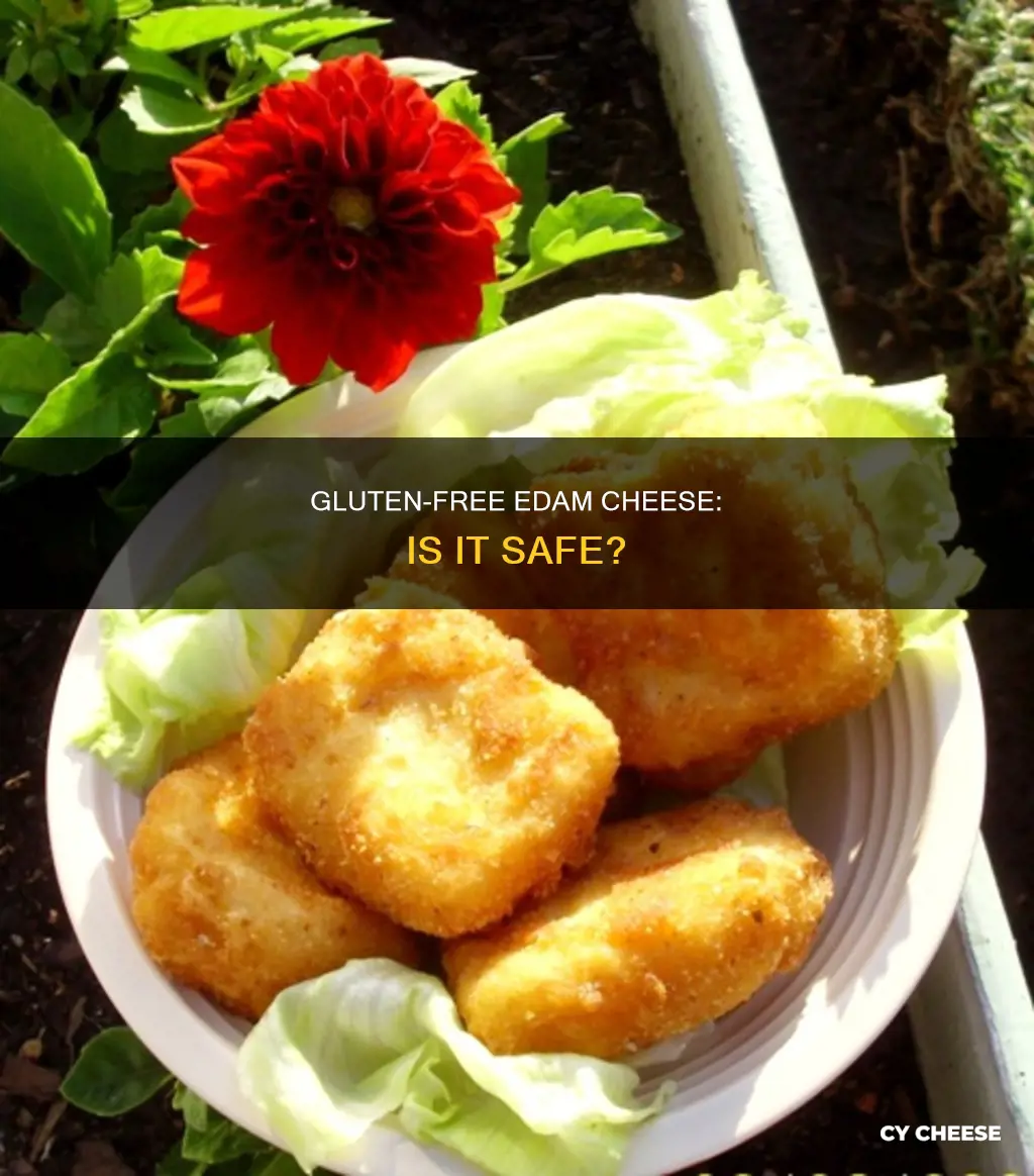 is edam cheese gluten free