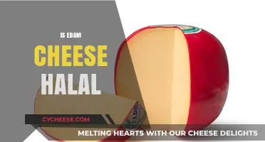 Is Edam Cheese Halal? Understanding Ingredients and Certification