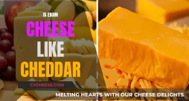 Edam vs. Cheddar: Unraveling the Cheese Similarities and Differences