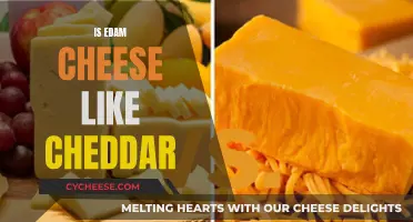 Edam and Cheddar: Similarities and Differences in Taste and Texture