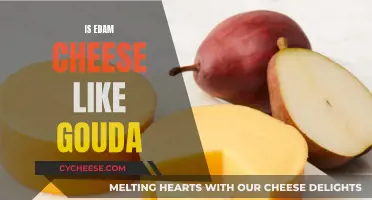 Edam and Gouda: Two Cheesy Cousins?