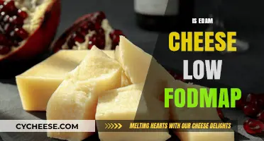 Is Edam Cheese Low FODMAP? A Digestive-Friendly Guide