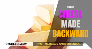 The Edam Cheese Enigma: Backwards Manufacturing Mystery