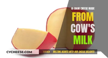 Edam Cheese: Cow Milk's Transformation