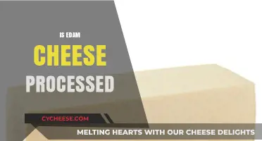 Is Edam Cheese Processed? Uncovering the Truth Behind This Classic Cheese