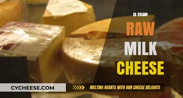 Is Edam Cheese Made from Raw Milk? Uncovering the Truth
