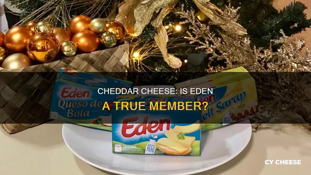 is eden a cheddar cheese