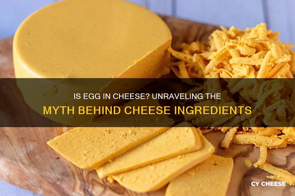 is egg in cheese