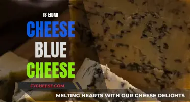 Eidar Cheese: A Unique Blue Cheese Variety