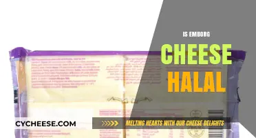 Is Emborg Cheese Halal? Exploring Ingredients and Certification Details