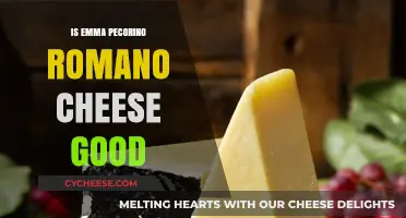 Emma's Pecorino Romano: A Cheesy Delight