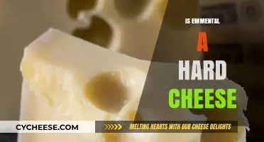 Is Emmental a Hard Cheese? Exploring Its Texture and Classification