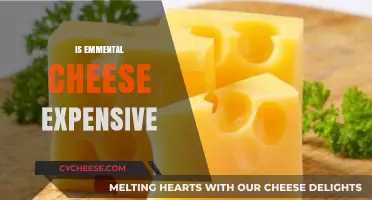 Is Emmental Cheese Expensive? Exploring Costs and Value