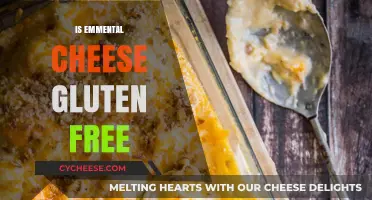 Gluten-Free Emmental Cheese: What You Need to Know