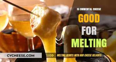 Emmental Cheese: Melting Magic or Mess?