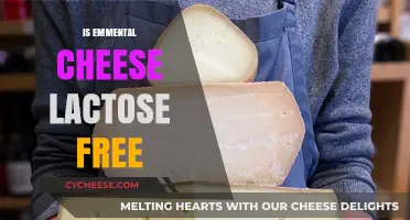 Emmental Cheese: Lactose-Free Superfood?