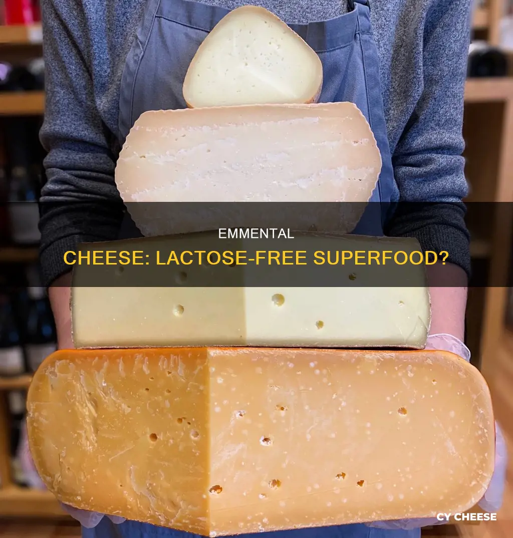 is emmental cheese lactose free