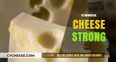 Is Emmental Cheese Strong? Exploring Its Flavor and Intensity