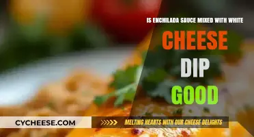 Enchilada Sauce and White Cheese: A Match Made in Heaven?