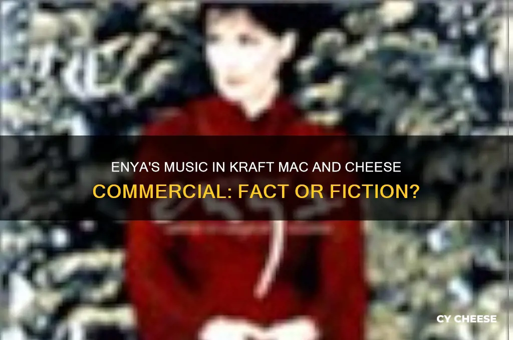 is enya music on kraft ac and cheese commercial