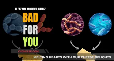 The Truth About Enzyme Modified Cheese