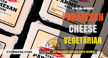 The Truth About Enzyme Modified Parmesan Cheese for Vegetarians