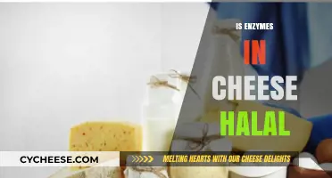 Are Enzymes in Cheese Halal? Exploring Islamic Dietary Laws