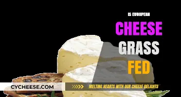 Is European Cheese Grass-Fed? Uncovering Dairy Farming Practices