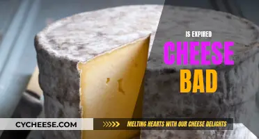 Cheese Expiry: Is It Safe to Eat?