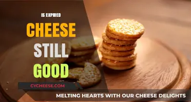 Cheese Expiration: Is It Still Good to Eat?