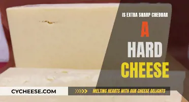 Extra Sharp Cheddar: A Hard Cheese or a Soft Delight?