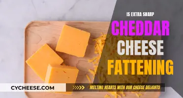 Cheese Delight: Cheddar's Calorie Conundrum Explored