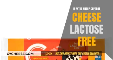 Cheddar Cheese Lactose: Extra Sharp, Lactose Free?
