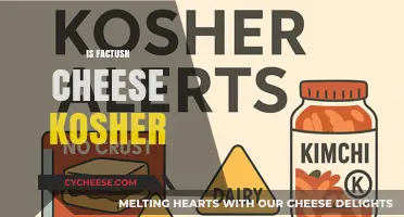 Is Factush Cheese Kosher? Exploring Its Ingredients and Certification