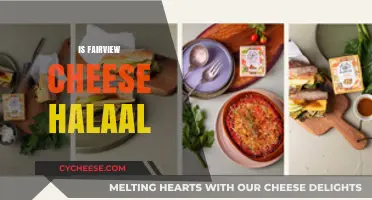 Is Fairview Cheese Halaal? Exploring Certification and Ingredients