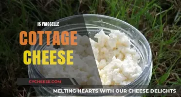 Faisselle vs. Cottage Cheese: Unraveling the Dairy Difference
