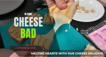 The Dark Side of Fake Cheese