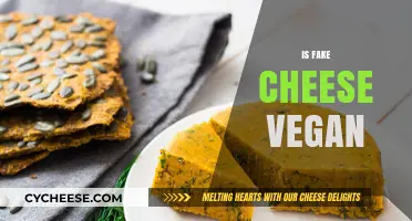Is Fake Cheese Vegan? Unraveling Plant-Based Cheese Alternatives