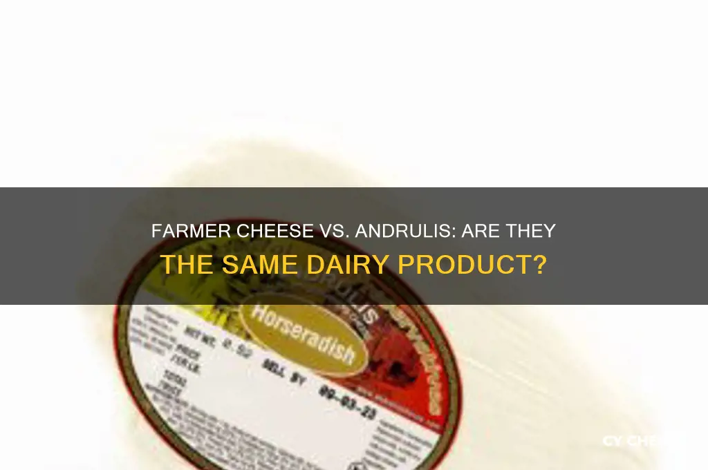 is farmer cheese and andrulis the same thing