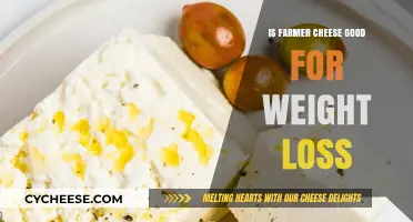 Farmer Cheese for Weight Loss: Healthy Option?