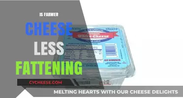 Is Farmer Cheese a Healthier, Lower-Fat Option for Your Diet?