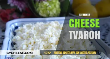 Is Farmer Cheese Tvaroh? Unraveling the Dairy Mystery