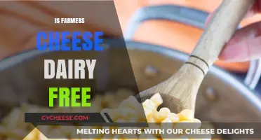 Farmers Cheese: Is It Dairy-Free?