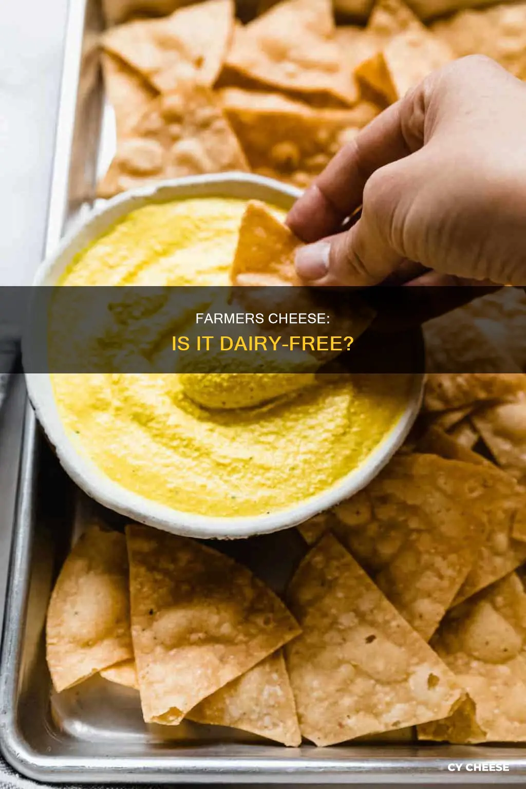 is farmers cheese dairy free