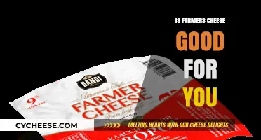 Is Farmers Cheese Healthy? Nutrition Benefits and Potential Drawbacks Explained