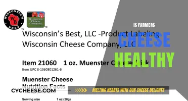 Farmers Cheese: Healthy Superfood or Unhealthy Treat?