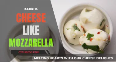 Farmers Cheese and Mozzarella: What's the Difference?