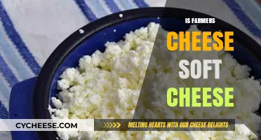 Is Farmers Cheese Soft? Understanding Its Texture and Uses